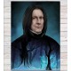 Tištěná kopie, Severus Snape, A3