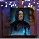 Tisk na plátně, Severus Snape, 30x40cm